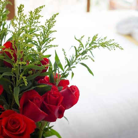 Ilalo Garden Hotel & Restaurant Κίτο Εξωτερικό φωτογραφία