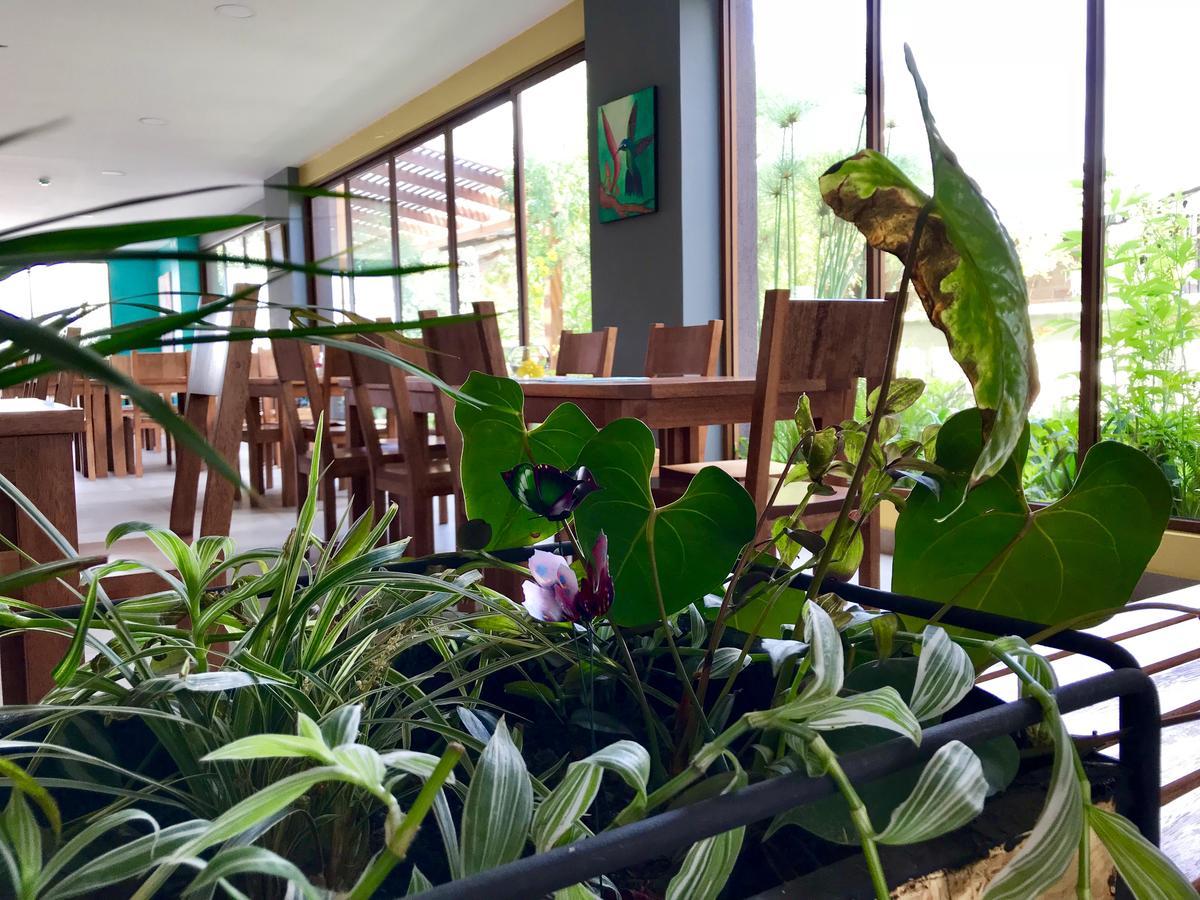 Ilalo Garden Hotel & Restaurant Κίτο Εξωτερικό φωτογραφία