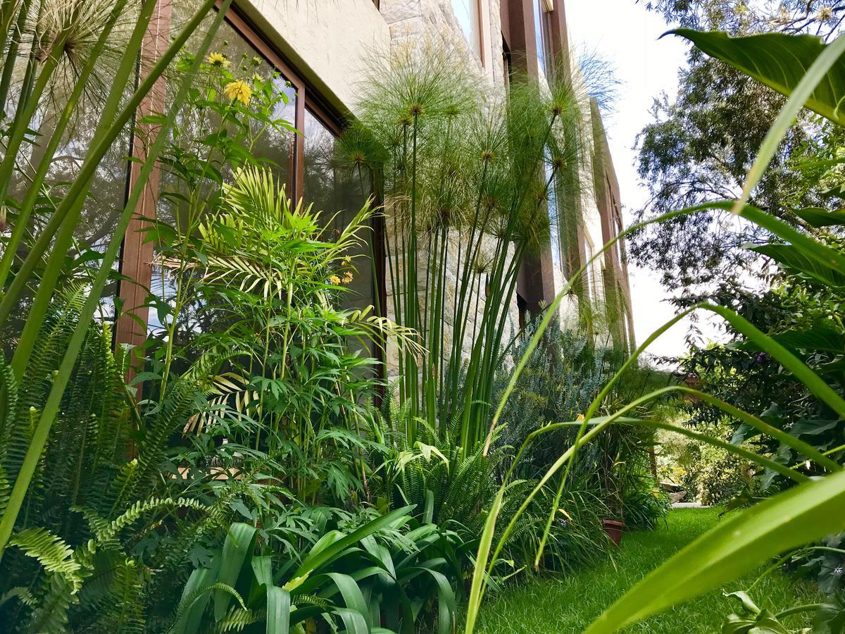 Ilalo Garden Hotel & Restaurant Κίτο Εξωτερικό φωτογραφία